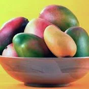 thumbnail for publication: Profitability and Cost Estimates for Producing Mango (Mangifera Indica L.) in South Florida